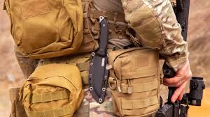 Image result for molle