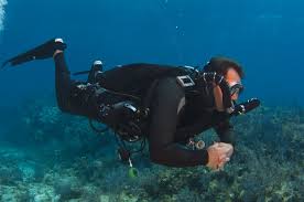 Image result for Southdown Divers