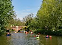 Image result for Paddletastic