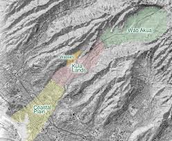 「VHAPUNI　MAO」の画像検索結果