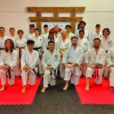Image result for Hetton and Murton Karate Academy