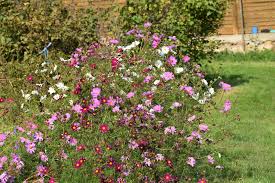 Image result for Schmuckkörbchen