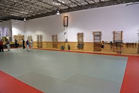 Image result for Bridge Hall Bujinkan Dojo