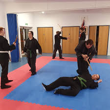 Image result for Bujinkan Crawley Dojo