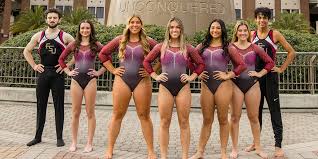 Image result for Wade Gymnastics Club