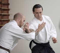 Image result for Devines Martial Arts