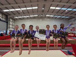 Image result for Cardiff Olympic Gymnastics Club
