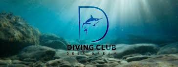 Image result for 3D Diving Club