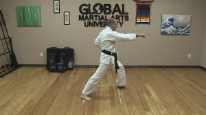 Image result for ZOKU SHOTOKAN KARATE (Baldock)