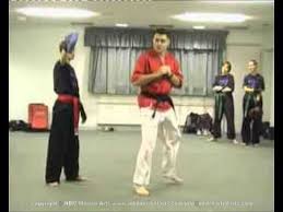 Image result for Ndm Martial Arts