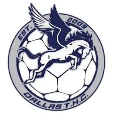 Image result for Deva Handball Club