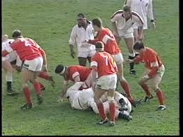 Image result for Cefn Fforest Rugby Football Club