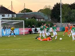 Image result for V C D Athletics Club