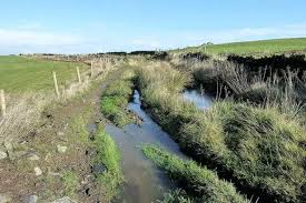 Image result for Austerlands Institute