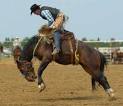 Texas State Sport - Rodeo 