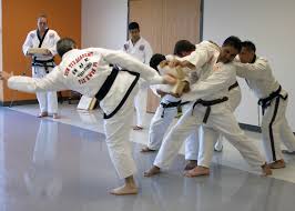 Image result for Utf Jaguar Tkd