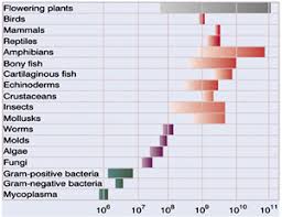 Image result for genome sizes