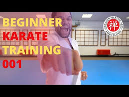 Image result for Zen Shin Seicho Do Adult Karate