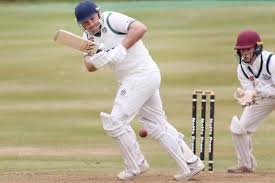 Image result for Plumtree Cricket Club