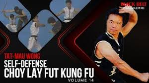 Image result for Tao So Choy Kung Fu Club, Hull