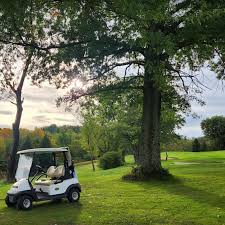 Image result for Blairbeth Golf Club