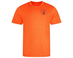 Image result for Wee County Harriers