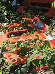 Image result for Calstock Smbc