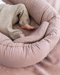 Attēlu rezultāti vaicājumam “Diaperis boleti nest”