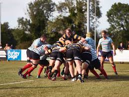 Image result for Canterbury Rugby Football Club
