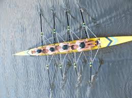 Image result for Hexham Rowing Club