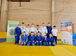 Image result for Halton Inclusive Judo Club