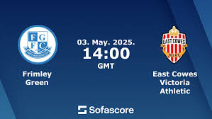 Image result for Frimley Green Football Club