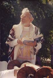 Image result for Salmo zrmanjaensis