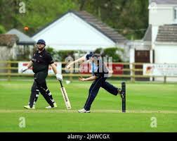 Image result for Bronwydd Cricket Club