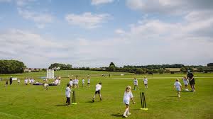 Image result for Blagdon Cricket Club