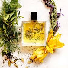 Image result for Solent Viragos