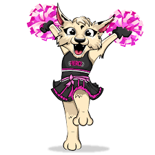 Image result for Fierce Athletics Cheerleaders