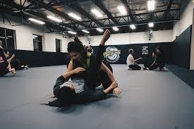 Image result for Derwent Jujitsu Academies