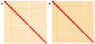 Attēlu rezultāti vaicājumam “Pieris napi male”