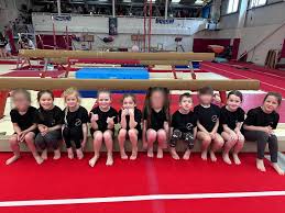 Image result for Forest Of Dean Gymnastics Club