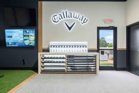 Image result for Callaway Badminton Club