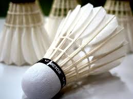 Image result for Somerset Nomads Badminton Club