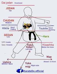Image result for Jodan Karate