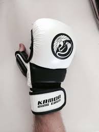 Image result for Kamon Wing Chun