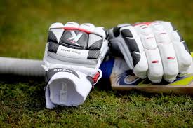 Image result for Ulgham Village Cricket Club