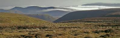 Image result for Long Mynd