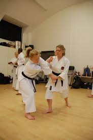 Image result for Goju.co.uk