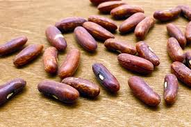 Image result for Buschbohnen