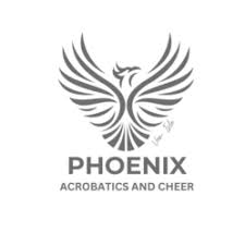 Image result for Phoenix Acro Gymnastics Club