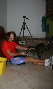 Image result for biker fox